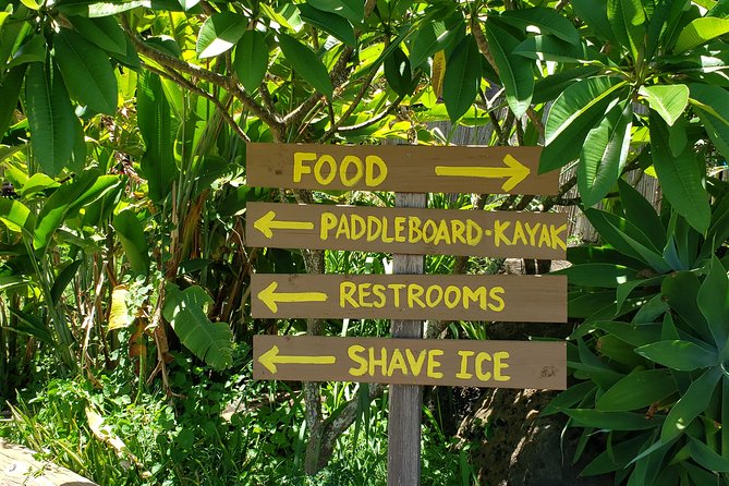 Tour of North Shore & Waimea Waterfall - Kahuku shrimp lunch at Fumi’s, plus fruit stops that reset the day