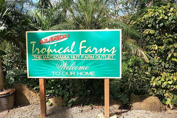 Tour of North Shore & Waimea Waterfall - Sunset Beach depends on surf and road conditions