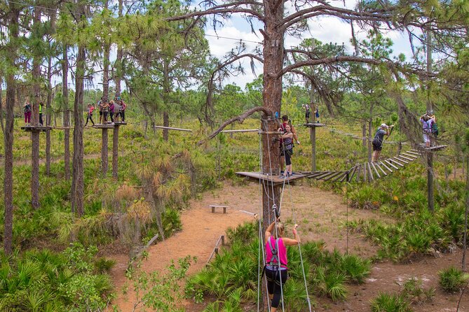 TreeUmph Adventure Course - Quick hits you can use right away