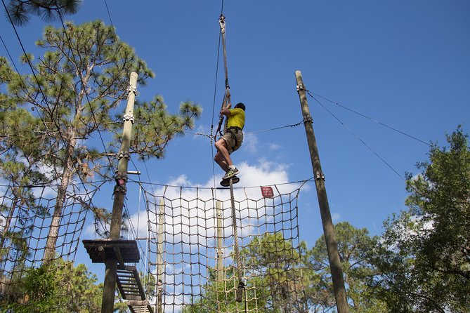 TreeUmph Adventure Course - The treetop playground: 120+ games, 10 football fields, and heights up to 60 feet