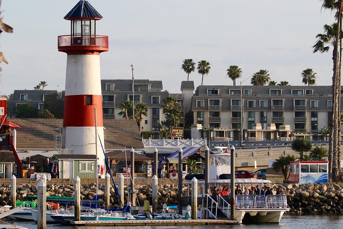 Two-Hour Luxury Whale Watching Tour from Oceanside - A 50-foot luxury catamaran ride that feels steady, not bouncy
