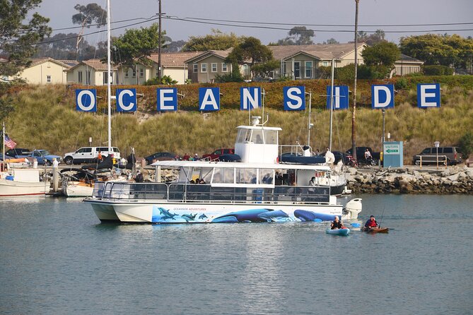Two-Hour Luxury Whale Watching Tour from Oceanside - Price and value: $64 for a two-hour wildlife outing that moves well