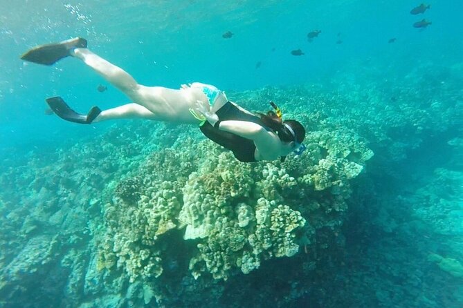 Two Reef Snorkel Trip-See Captain Cook Monument & Sea Caves - The Kona Coast Ride: Sea Caves, Lava Tubes, and More