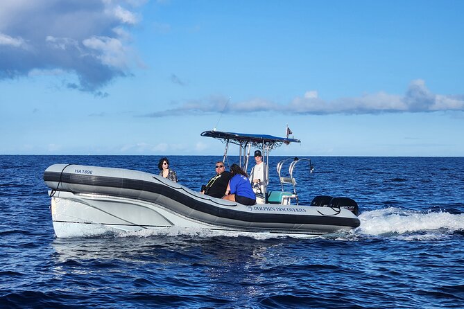 Two Reef Snorkel Trip-See Captain Cook Monument & Sea Caves - Price and Value: Is $119 Worth It?