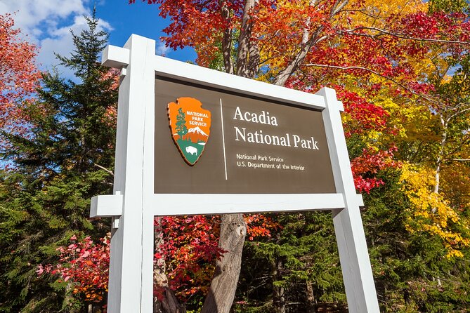 Ultimate Acadia National Park Self-Guided Driving Audio Tour - Challenging Hikes on the Route: Precipice Trail and Ocean Path