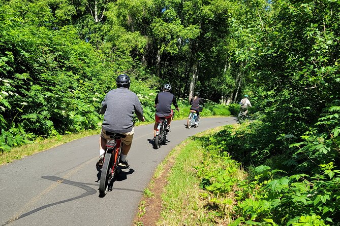Viator Exclusive: Go eBike Alaska on Tony Knowles Trail - Should you book this Go eBike Alaska tour on the Tony Knowles Trail?