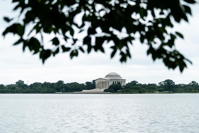 VIP Best of DC with US Capitol + National Archives Reserved Entry - Coach comfort, weather plans, and the walking reality