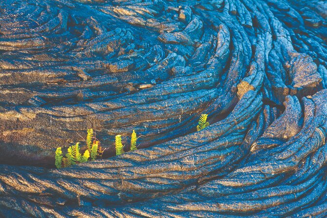 Volcano Adventure: Hilo Sightseeing w/ Optional Helicopter Tour - Hilo to the volcanoes: how this day gets paced