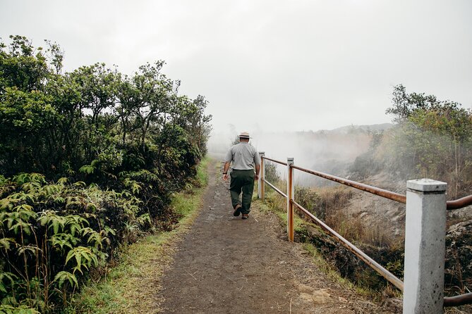 Volcano Adventure: Hilo Sightseeing w/ Optional Helicopter Tour - Thurston Lava Tube (Nahuku to the tube walk): what to expect on the ground