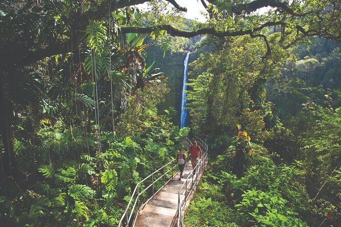 Volcano Adventure: Hilo Sightseeing w/ Optional Helicopter Tour - Hawaii Volcanoes National Park: your main event, built around Kilauea