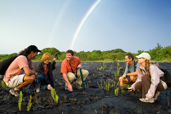 Volcano, Chocolate and Waterfalls of the Big Island - Sunrise start, centralized pickups, and how the long day feels