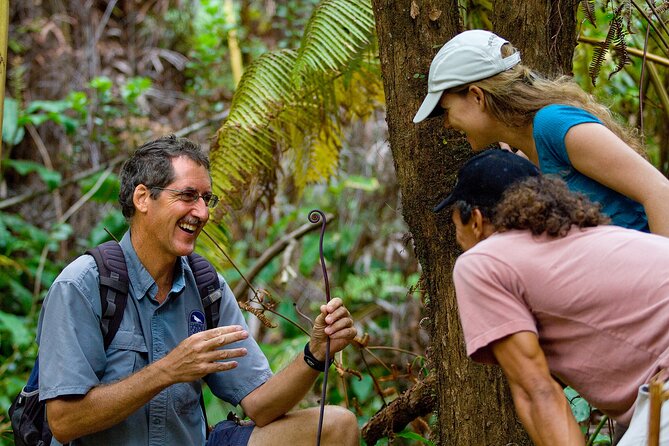 Volcano, Chocolate and Waterfalls of the Big Island - Rainbow Falls: a short stop that resets your brain