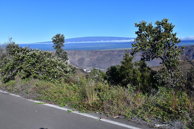 Volcano National Park Adventure From Kona - Kona coffee farm stop: where the day gets flavorful
