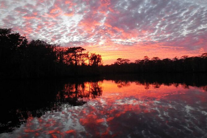 Waccamaw River Nature and Wildlife Tour - Comfort, Group Size, and What You Can Expect Onboard
