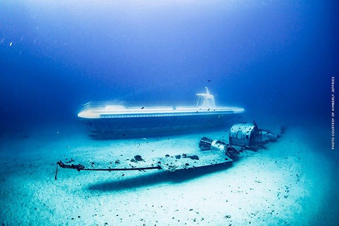 Waikiki: Atlantis Submarine Adventure - Underwater at around 100 feet: what you’ll actually see