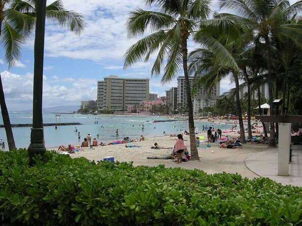 Waikiki Glass Bottom Boat Cruise - Quick hits before you go