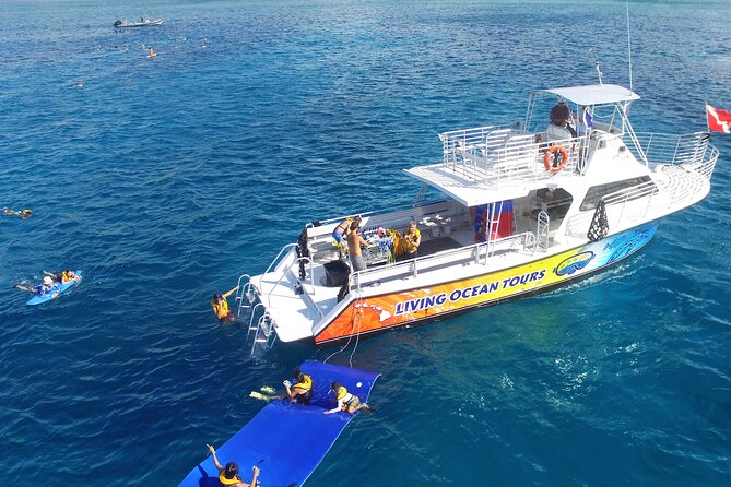 Waikiki, Hawaii: Turtle Canyon Snorkel Excursion - Turtle Canyon Snorkel, a practical Waikiki favorite