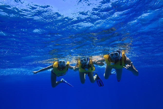 Waikiki, Hawaii: Turtle Canyon Snorkel Excursion - Getting into the water: gear, life jackets, and a safety-first demo