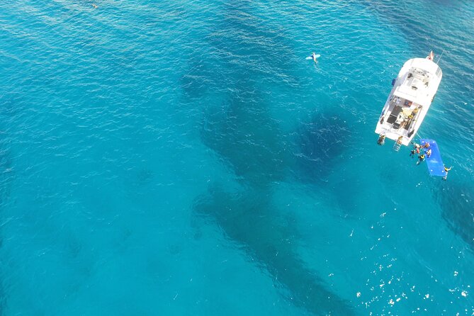 Waikiki, Hawaii: Turtle Canyon Snorkel Excursion - Turtle Canyons snorkeling: maximizing sea turtle chances