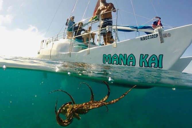 Waikiki Turtle Snorkel and Sail on Hawea Catamaran - Getting to the meeting point and starting the day right