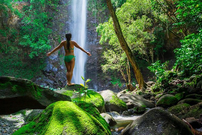 Wailua River Kayak and Sacred Falls Guided Hike with Lunch - Why This Wailua River Combo Works