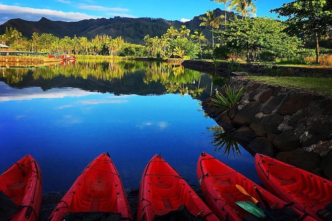 Wailua River & Waterfalls Kayak Tour: Expert-Guided Adventure - The Secret Falls hike (Uluwehi Falls): rainforest footing and real river crossings