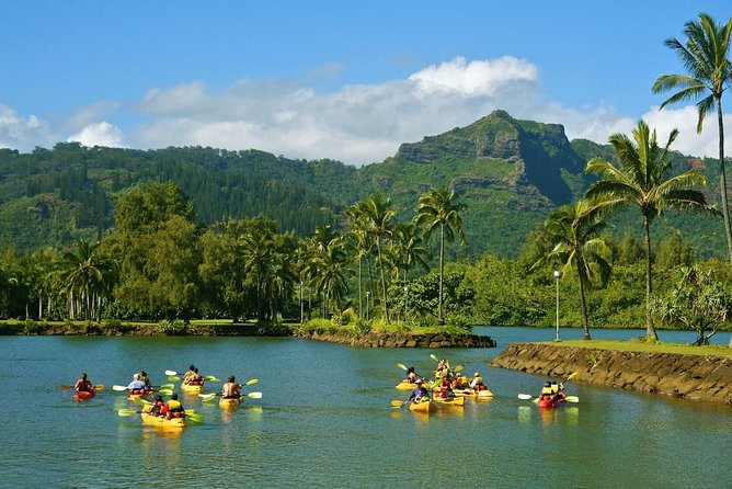 Wailua River & Waterfalls Kayak Tour: Expert-Guided Adventure - Why the guide makes this feel like Kauai, not just an activity