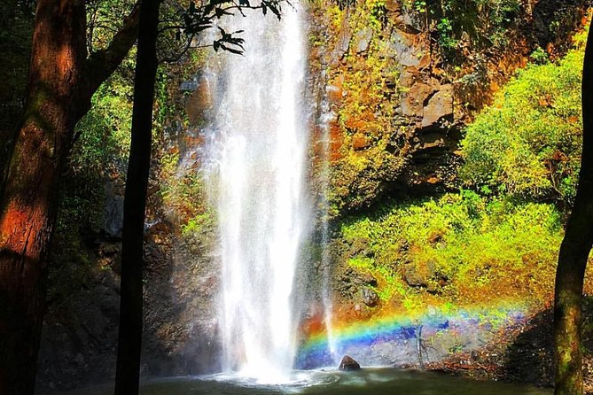 Wailua River & Waterfalls Kayak Tour: Expert-Guided Adventure - Price and value: what $145.86 really buys you