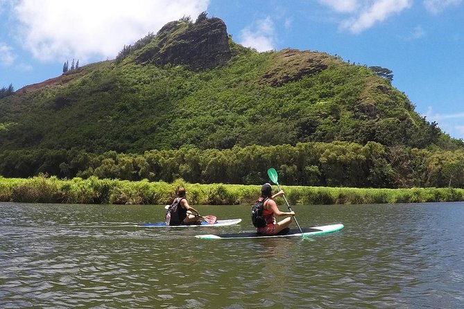 Wailua River & Waterfalls Kayak Tour: Expert-Guided Adventure - Who this tour fits best, and who should skip it