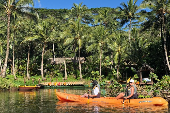Wailua River & Waterfalls Kayak Tour: Expert-Guided Adventure - Weather reality check: why rain changes everything here