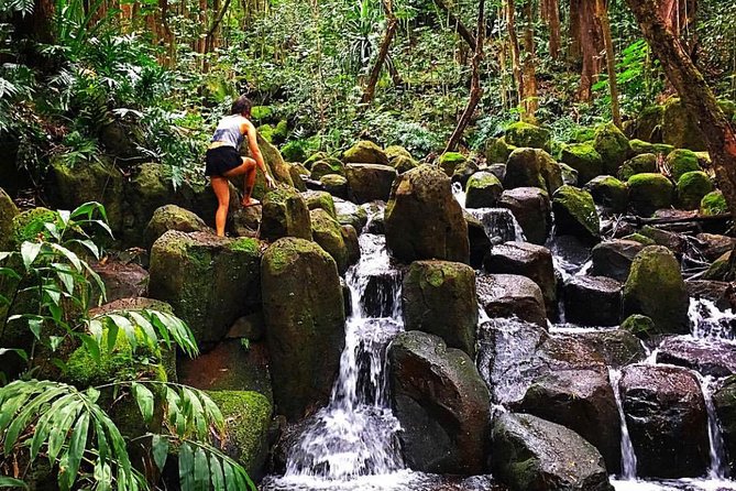 Wailua River & Waterfalls Kayak Tour: Expert-Guided Adventure - Packing for wet feet: the footwear rule that saves your day