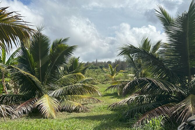 Waipi’o on Horseback: Mountain Ocean Views Working Cattle Ranch - Is It Worth the Money? Value for a $160 2-Hour Ranch Ride