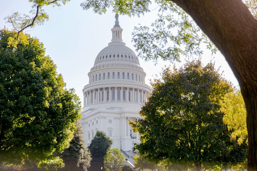 Washington DC: Bus Tour to the Highlights of the Capital - World War II and World War I Memorials: standing still becomes the point