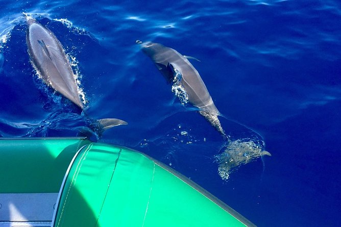 West Maui Snorkeling Experience by Boat from Ka'anapali - Key highlights you’ll feel the moment you step aboard