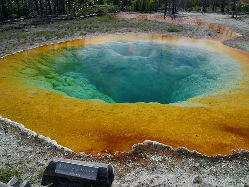 West Yellowstone: Yellowstone Day Tour Including Entry Fee - Key things you should know before you go