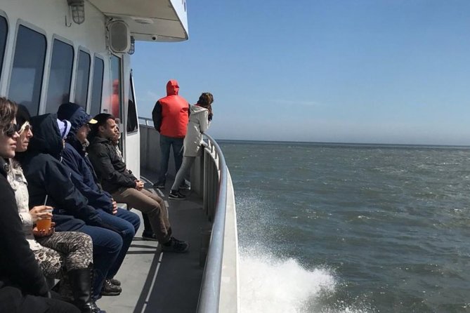 Whale and Dolphin Watching Cruise from Cape May - Family-Friendly Wildlife Time, From Toddlers to Date Plans