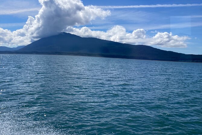 Whale Watching Adventure in Juneau - Snacks, Drinks, and Small Comfort Wins You’ll Notice