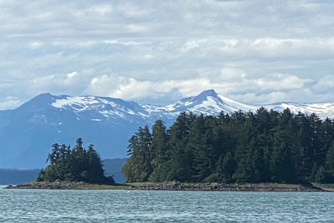 Whale Watching Adventure in Juneau - Price and Value: Is $154 a Fair Deal for Juneau?