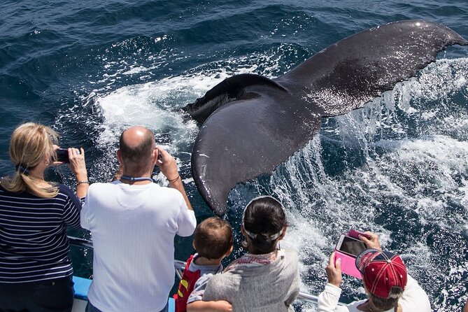 Whale-Watching Cruise from Newport Beach - Leaving from Newport Harbor, and why this part matters