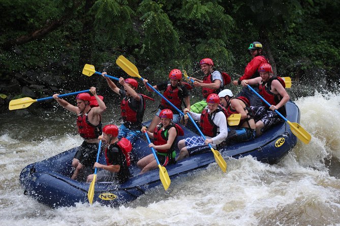 White Water Rafting Experience on the Upper Pigeon River - Key Highlights You’ll Care About