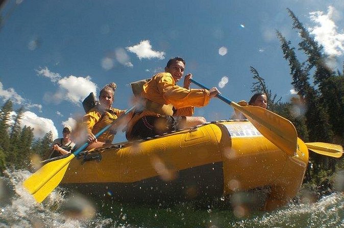 Whitewater Rafting Adventure in Jackson Hole - Classic Boats - Stop 1 on the water: why the Upper Snake River is such a draw
