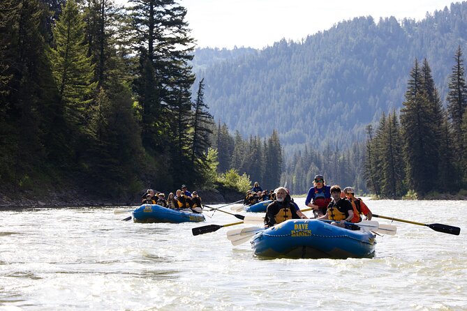 Whitewater Rafting in Jackson Hole : Family Standard Raft - How good is the guidance, really? The guide factor