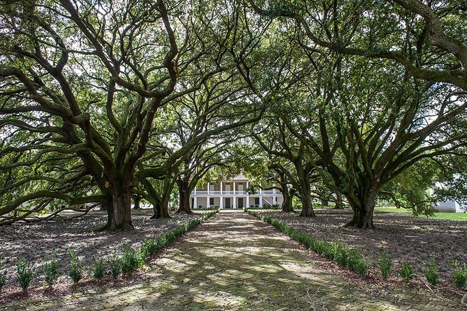 Whitney Plantation Tour with Transportation from New Orleans - Timing, comfort, and the small things that matter
