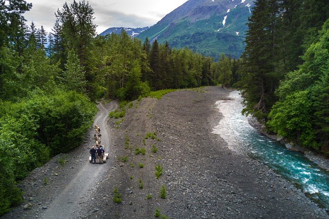 Wilderness Dog Sled Ride and Tour in Seward - After the ride: puppies close up and the Iditarod gear lesson
