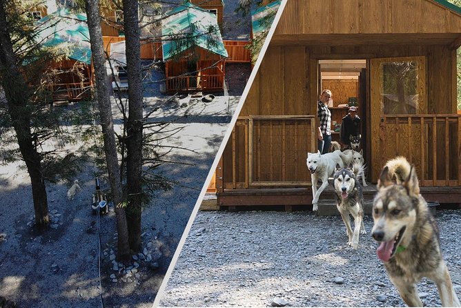 Wilderness Dog Sled Ride and Tour in Seward - Weather and comfort: how to set yourself up for a good time
