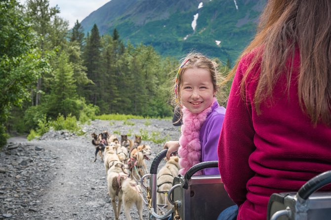 Wilderness Dog Sled Ride and Tour in Seward - Pickup and getting to Seavey’s IdidaRide kennel area