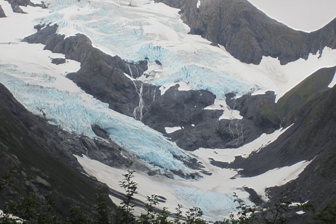 Wildlife and Glaciers with a walk in the Rainforest - Van Comfort, Window Frost, and Group Size Reality