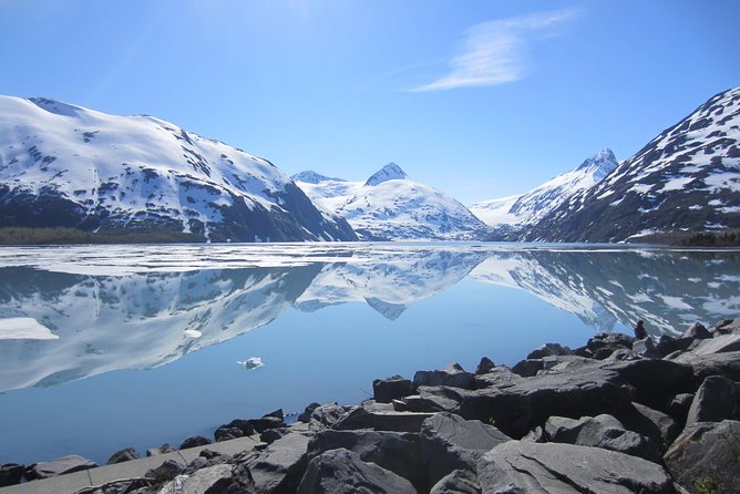 Wildlife and Glaciers with a walk in the Rainforest - Price and Value: Why $149 Can Be a Smart Half-Day
