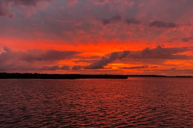 Wildlife Tour of Indian River Lagoon with Experienced Captain - Cruising the Indian River Lagoon: what you’re really paying for