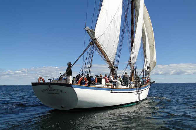 Windjammer Classic Day Sail from Camden, Maine - Step onto a working windjammer, not a museum